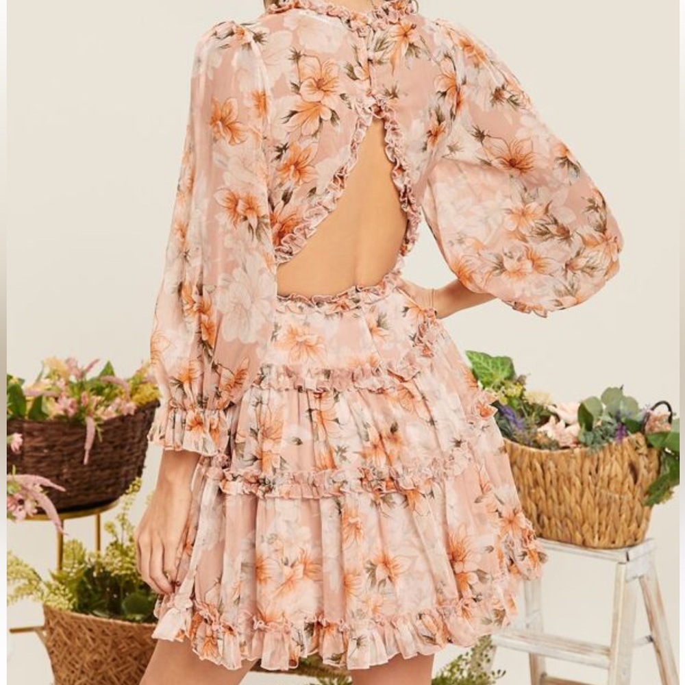 Privy Crinkled Chiffon Ruffle Mini Dress, Small